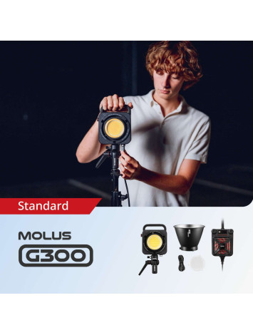 ZHIYUN MOLUS G300– 300W COB Light